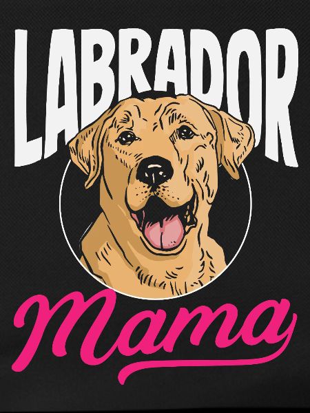 Labrador Tricks