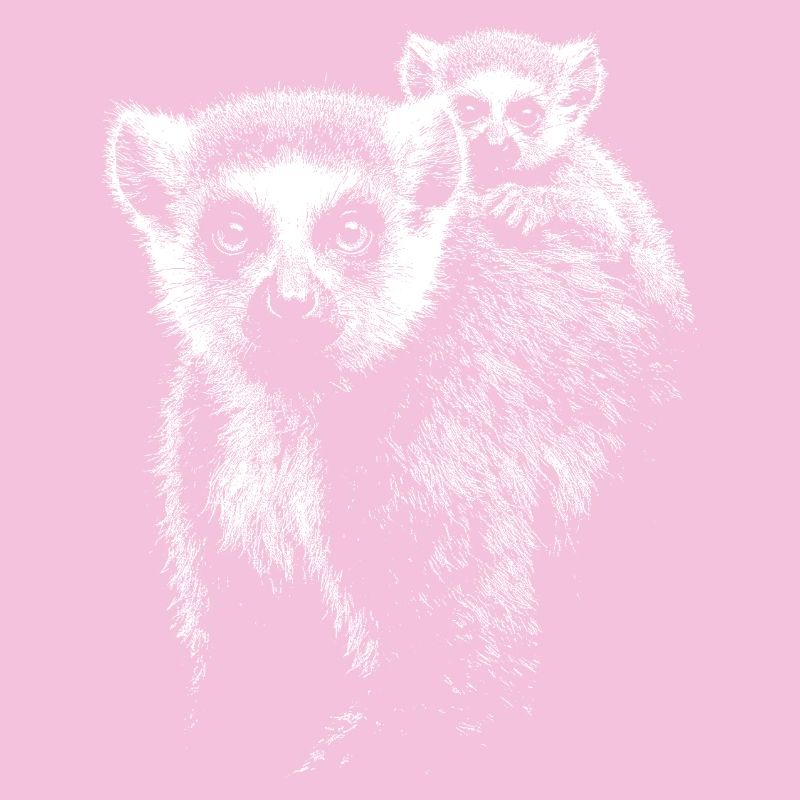 Katta