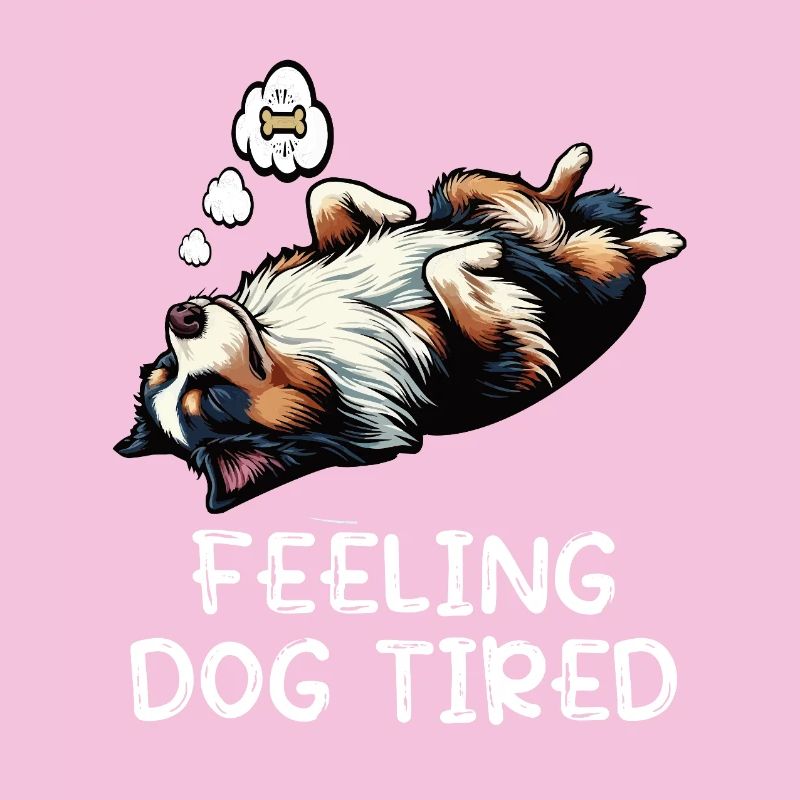 Feeling Dog Tired Australian Shepherd Aussiehalter
