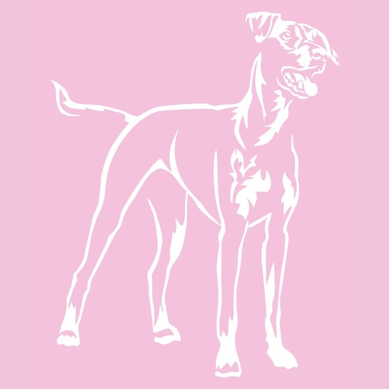 German Pinscher "Black Edition"