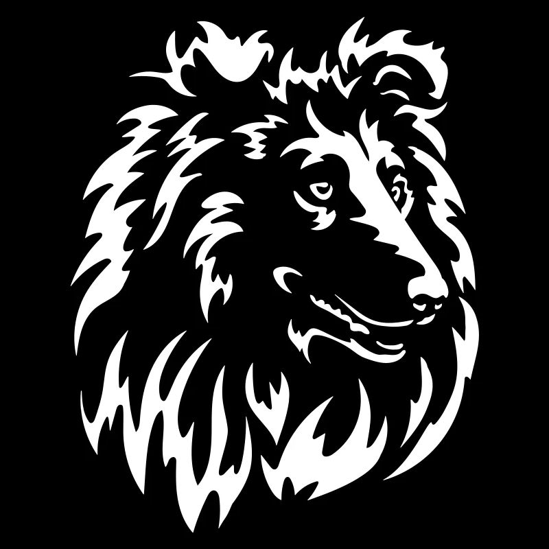 Collie Kopf "Black Edition"