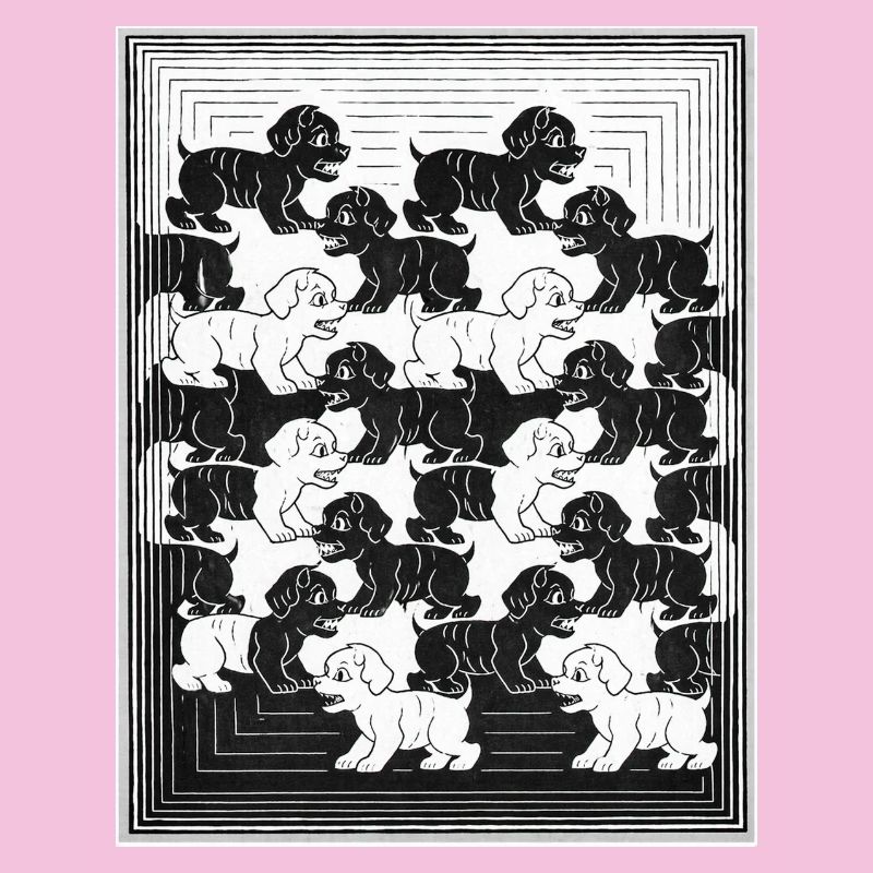 Dachshund Puppies in Monochrome Pattern