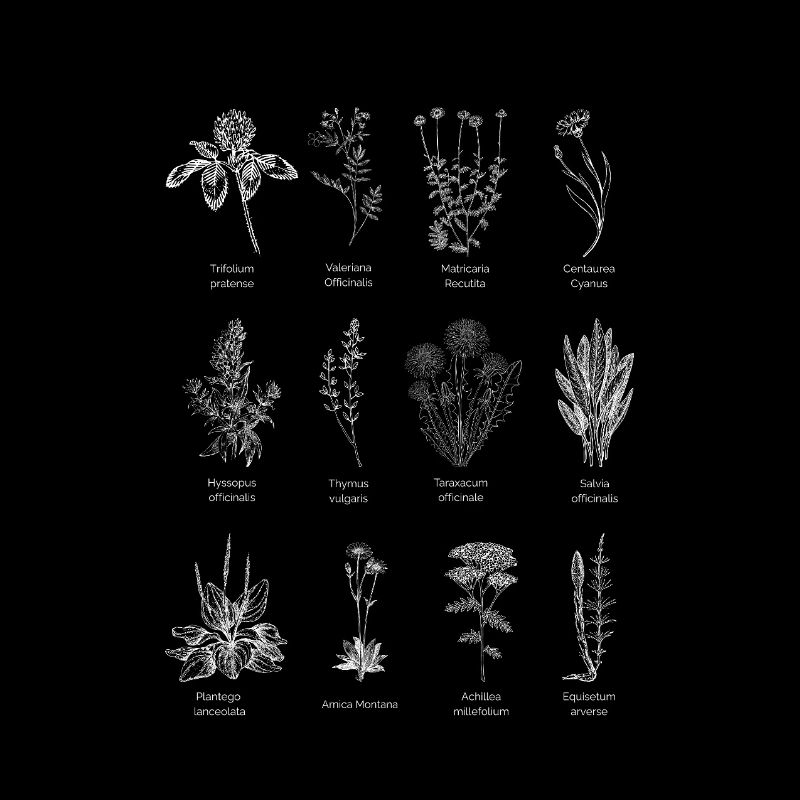Wild herb magic - nature in its purest form