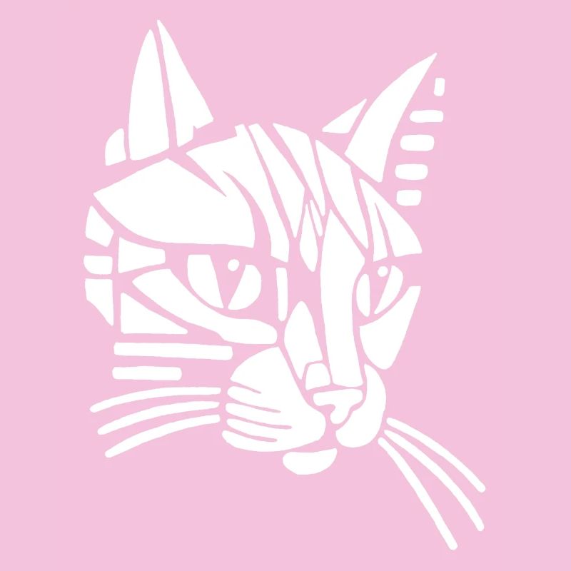 Chat tribal blanc