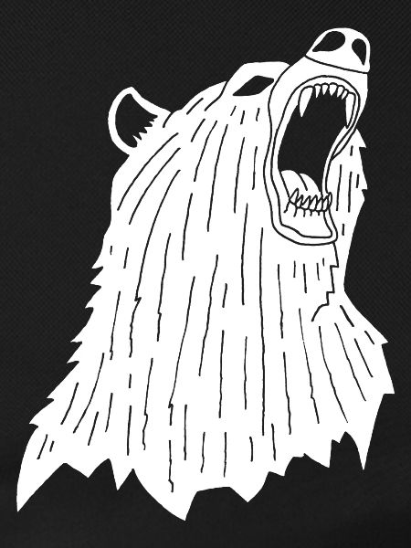 Wütender Eisbär