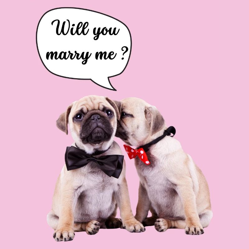 Will you marry me?