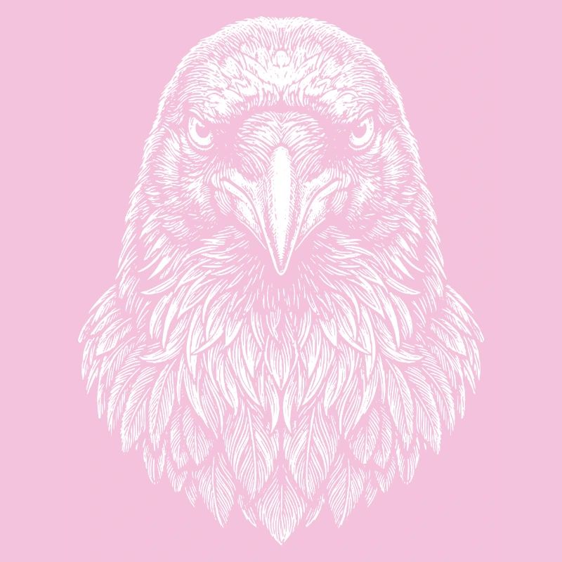 Aviator Eagle Headline Art