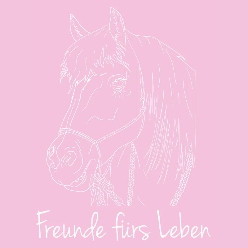 Freunde fürs Leben Haflinger Pferd