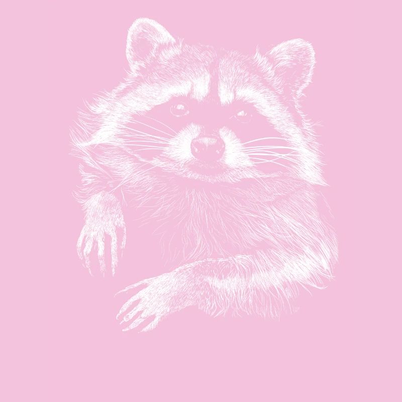 raton laveur