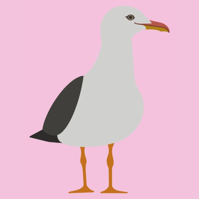 Möwe