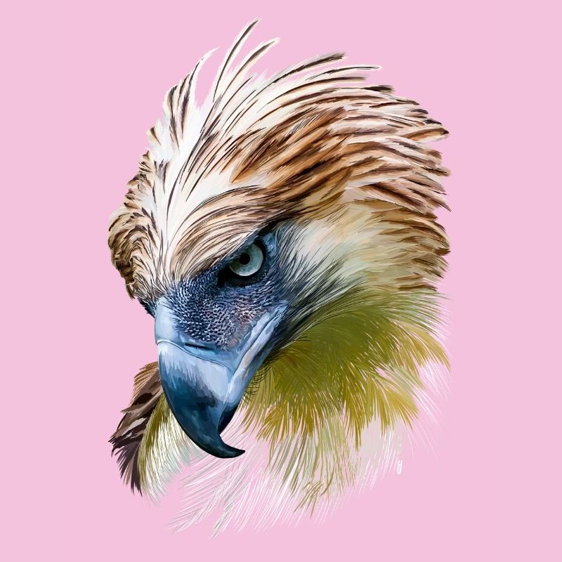 Aigle