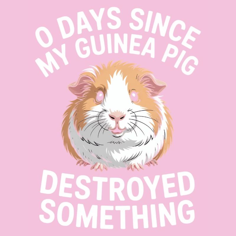 0 jours depuis que mon cochon d’Inde a détruit quelque chose d’amusant