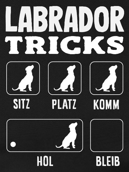 Labrador Tricks