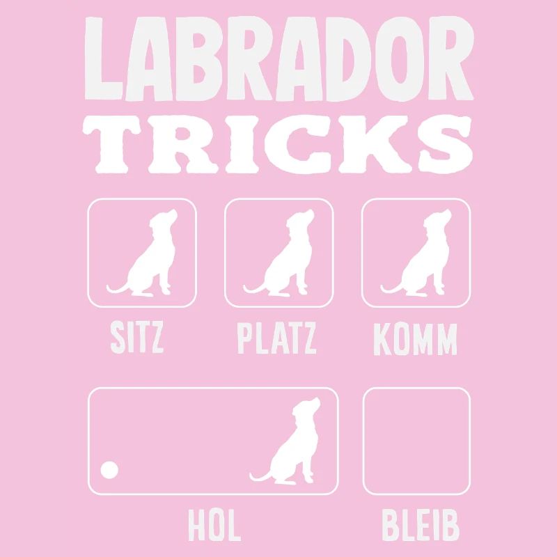 Astuces du Labrador
