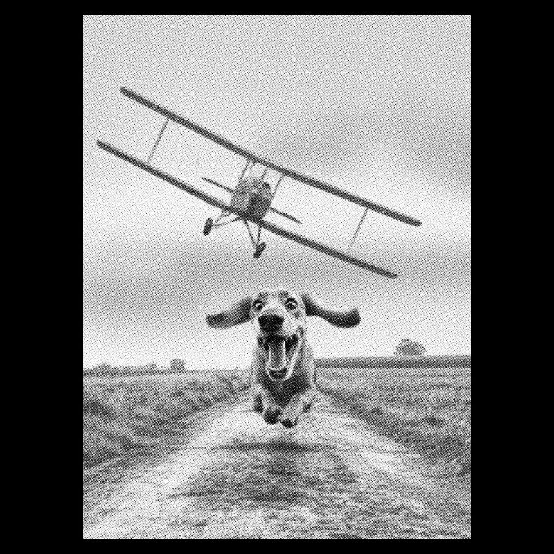 North by Northwest - Édition pour chiens