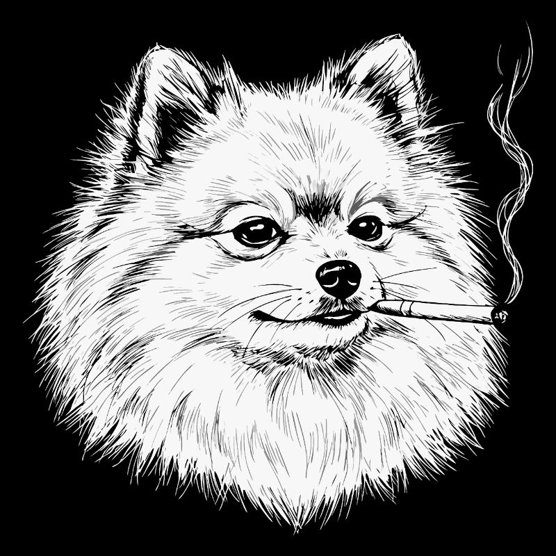 Rauchender Pomeranian: Lustiges Zwergspitz Meme