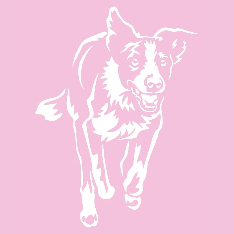 Border Collie "Black Edition"