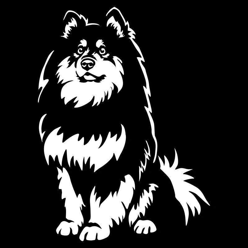 Finnischer Lapphund