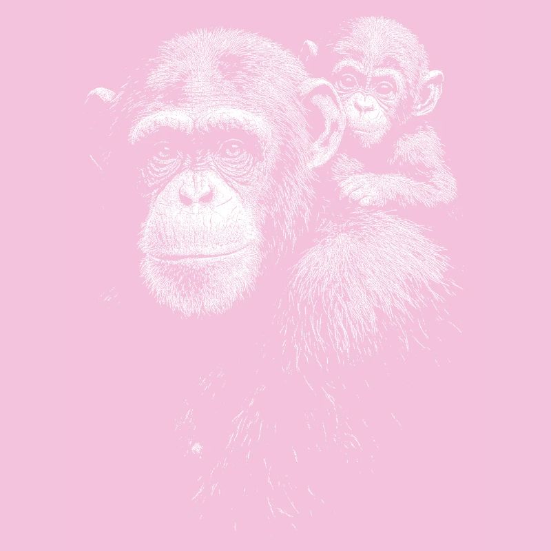 Chimpanzee