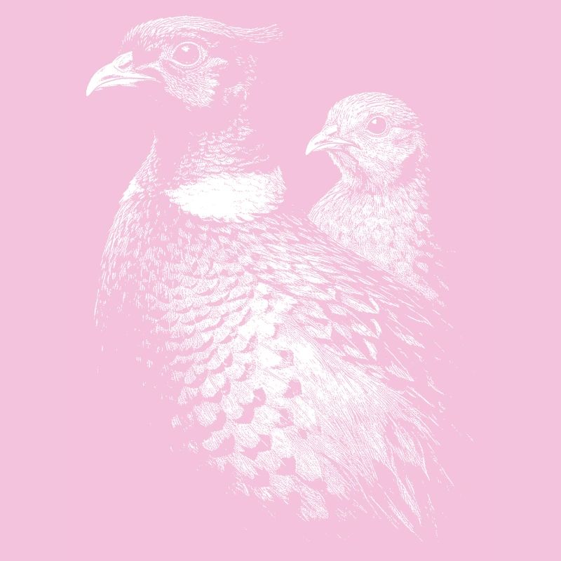 Faisan et poule