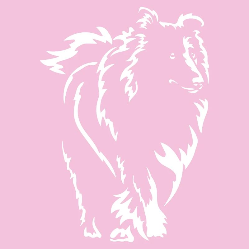 Collie « Édition Noire »