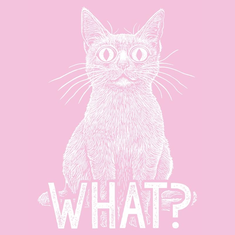 Chat Quoi Chat Blanc Drôle Avec Un Regard D’Horreur Intense