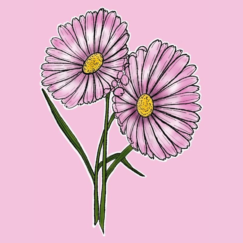Gänseblümchen