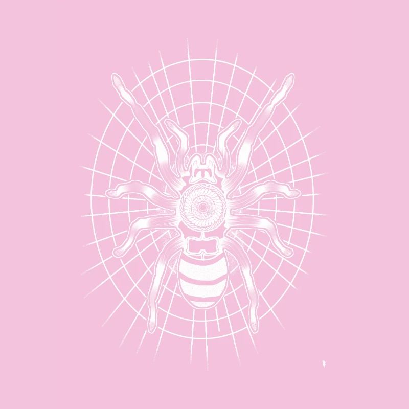 Spinne auf einem runden Spinnennetz