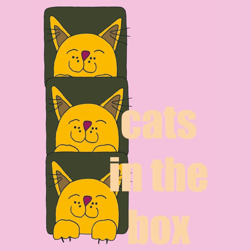 chats dans la boîte