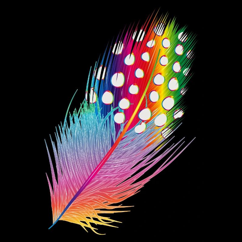 plume de pintade dessinée et colorée