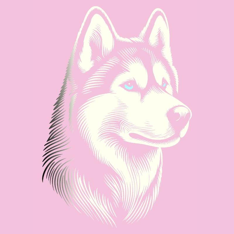 Husky head, black white, dog sled