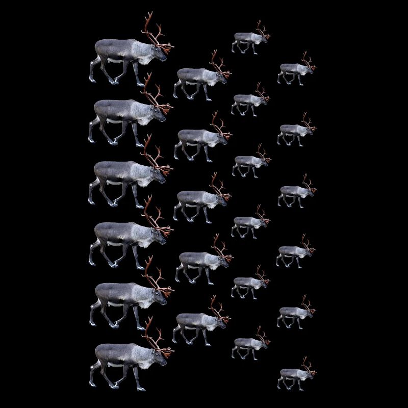 Reindeer