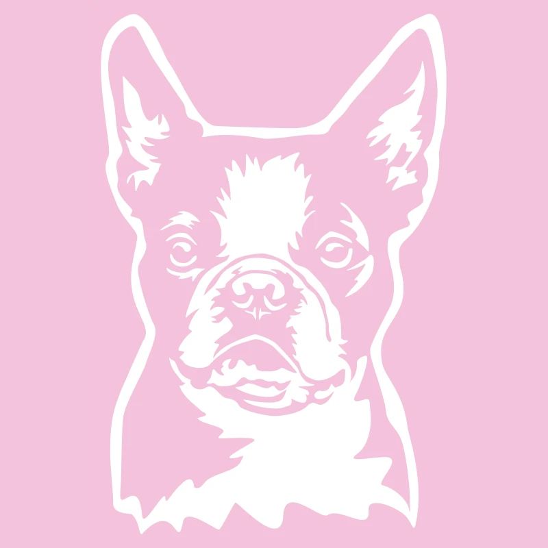 Boston Terrier Kopf "Black Edition"