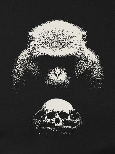 Shakespeare's monkey