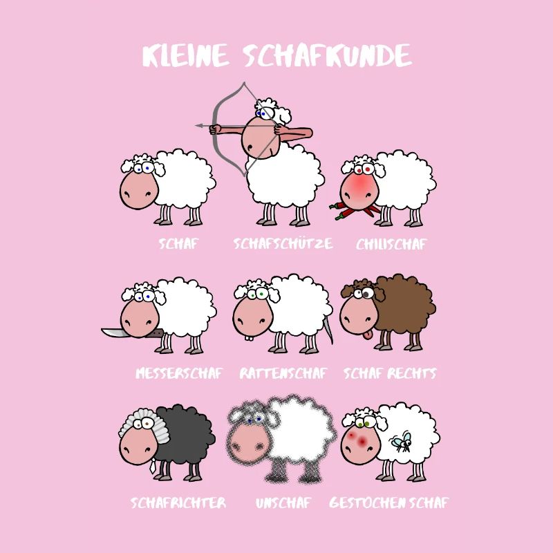 A little sheep knowledge