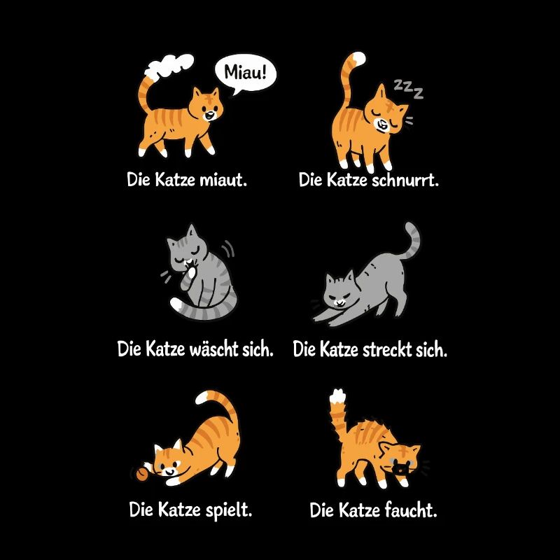 Katzenleben – Schnurrhaare & Katzenliebe