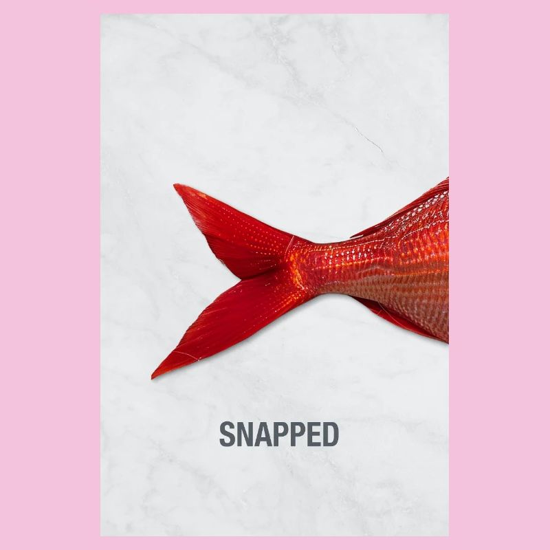 Snapped Fish Minimal Design Modern