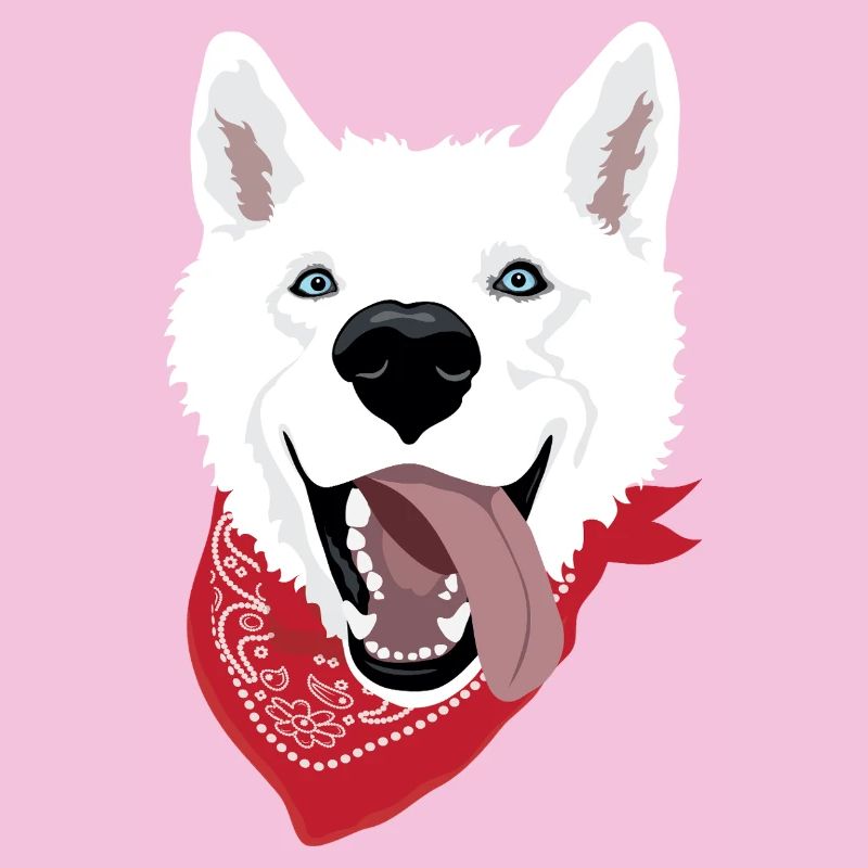 Husky blanc avec bandana et expression vive