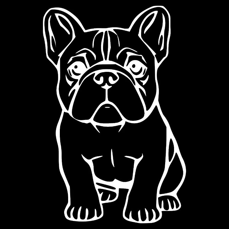 Bouledogue Français Chien Chiot Chien Bébé