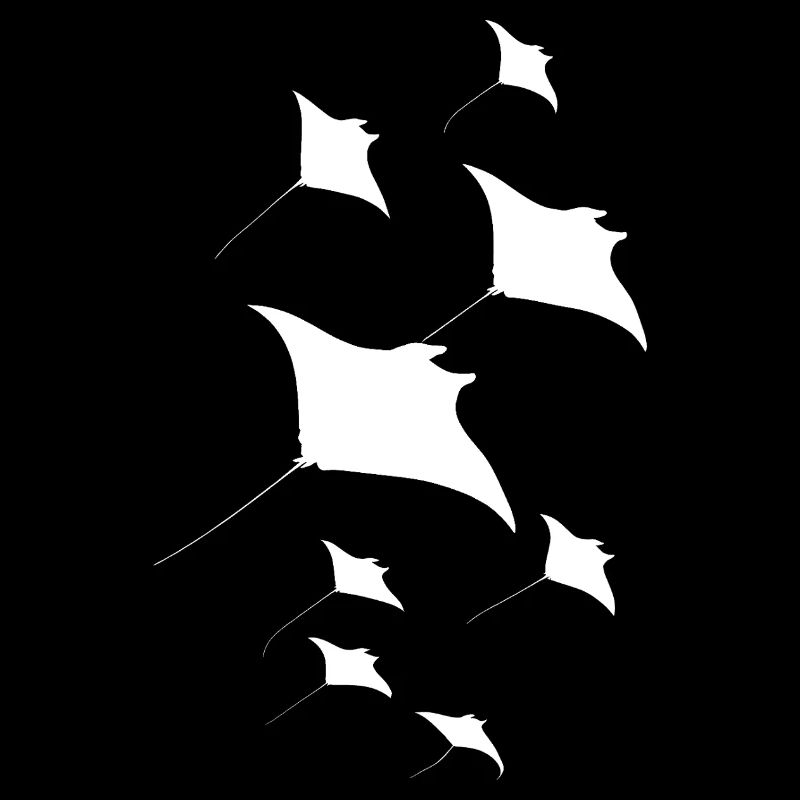 Manta Rochen Teufelsrochen Stachelrochen Taucher