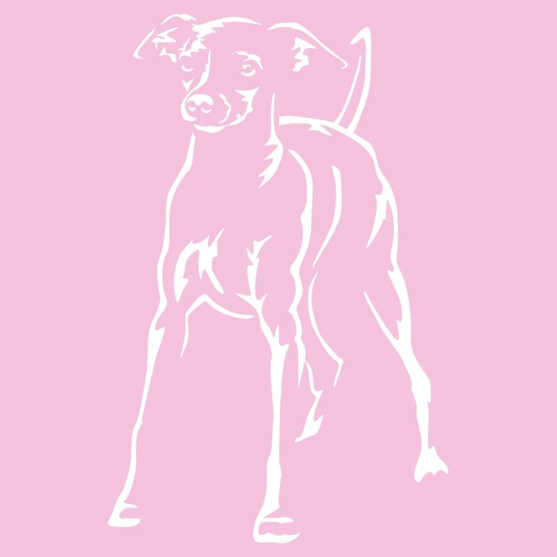 Zwergpinscher "Black Edition"