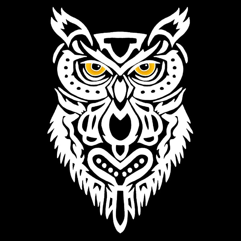 Le regard du hibou blanc