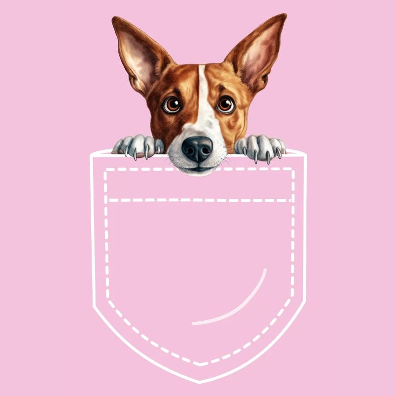 Chien Basenji