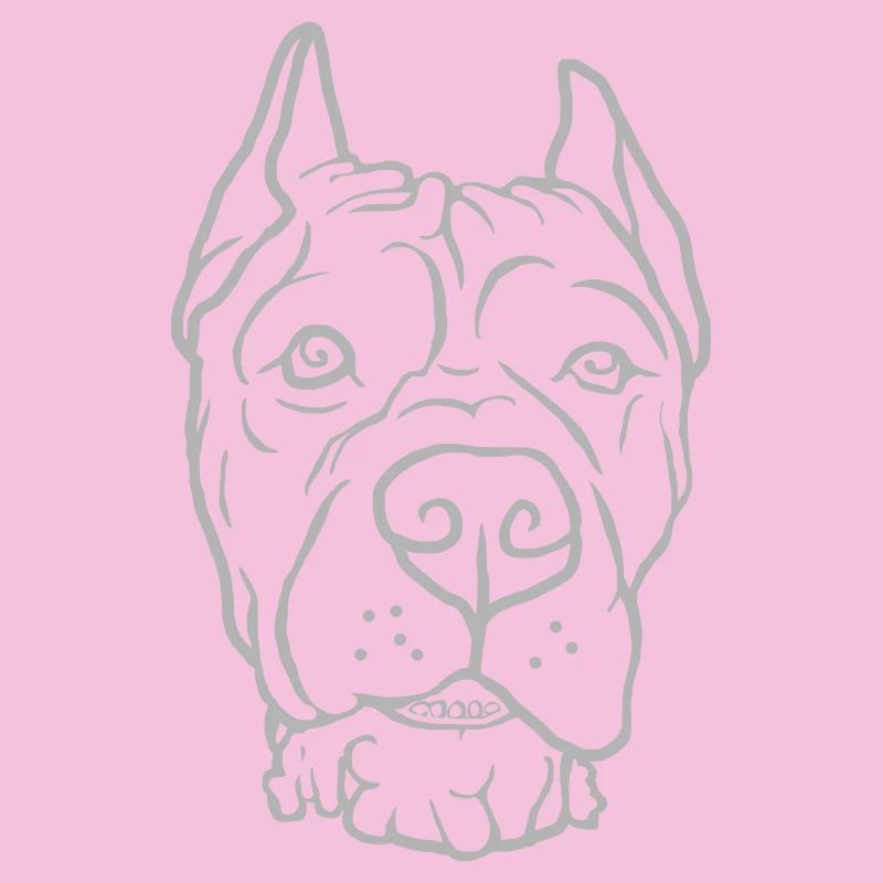 Cane Corso Kopf