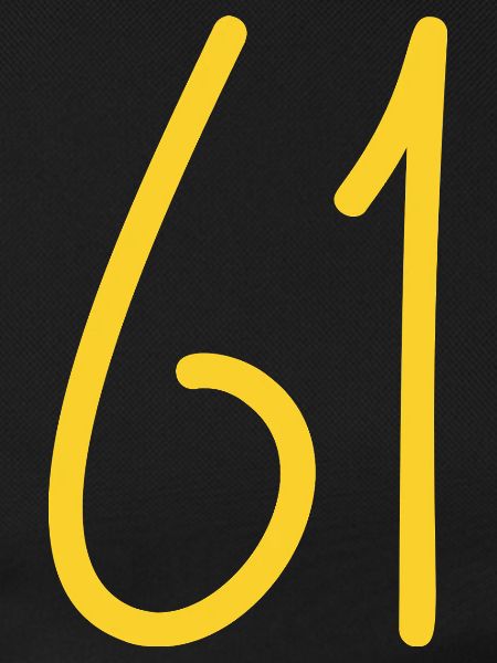 61