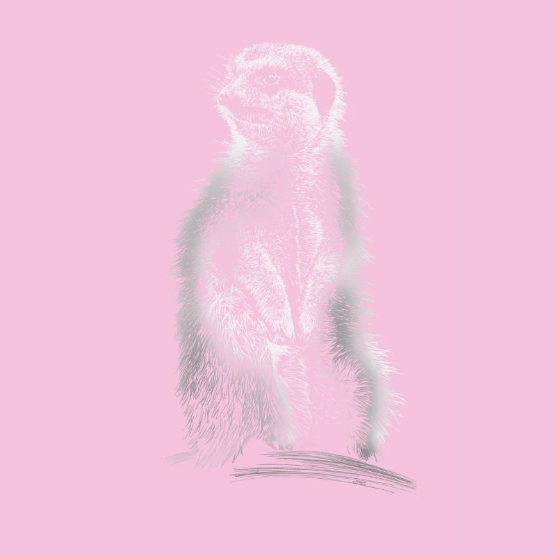 suricates