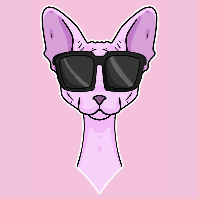 Chat cool avec lunettes de soleil - race de chat Sphynx