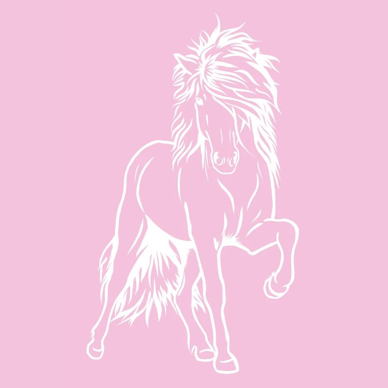 Iceland stallion white