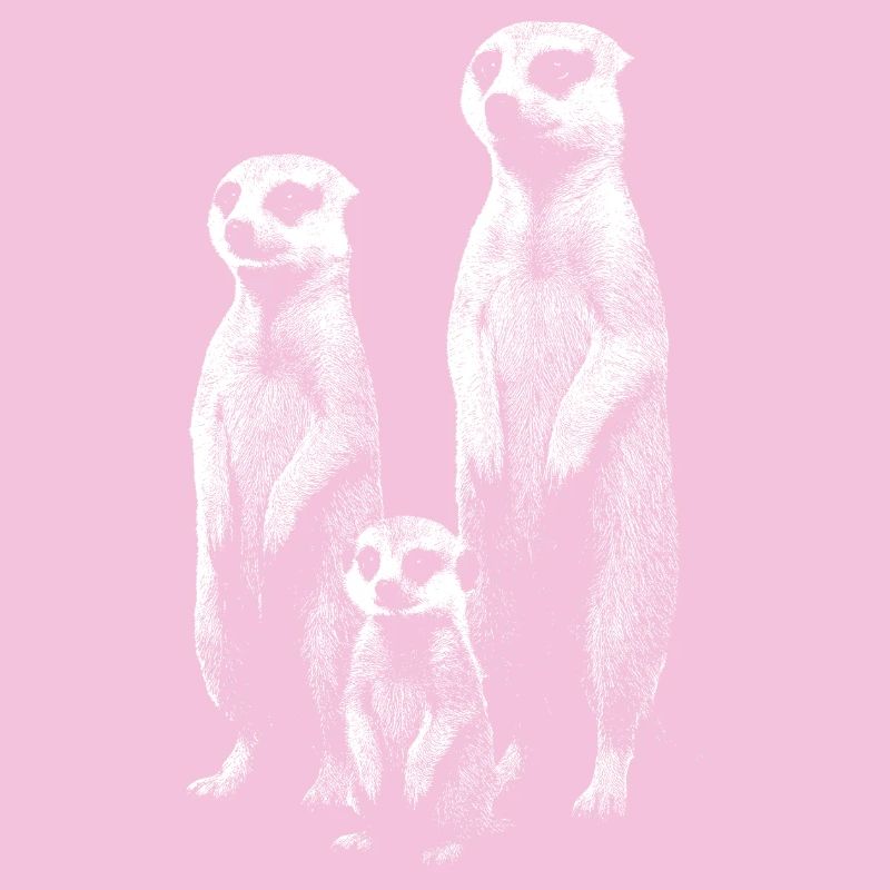 Meerkat light