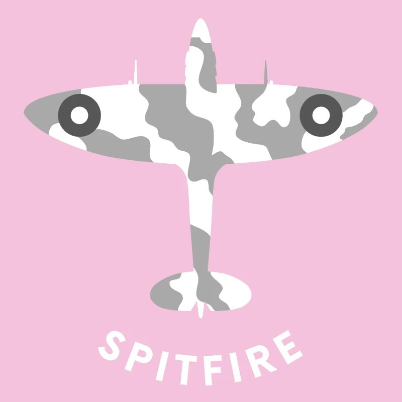Spitfire-Jagdflugzeug